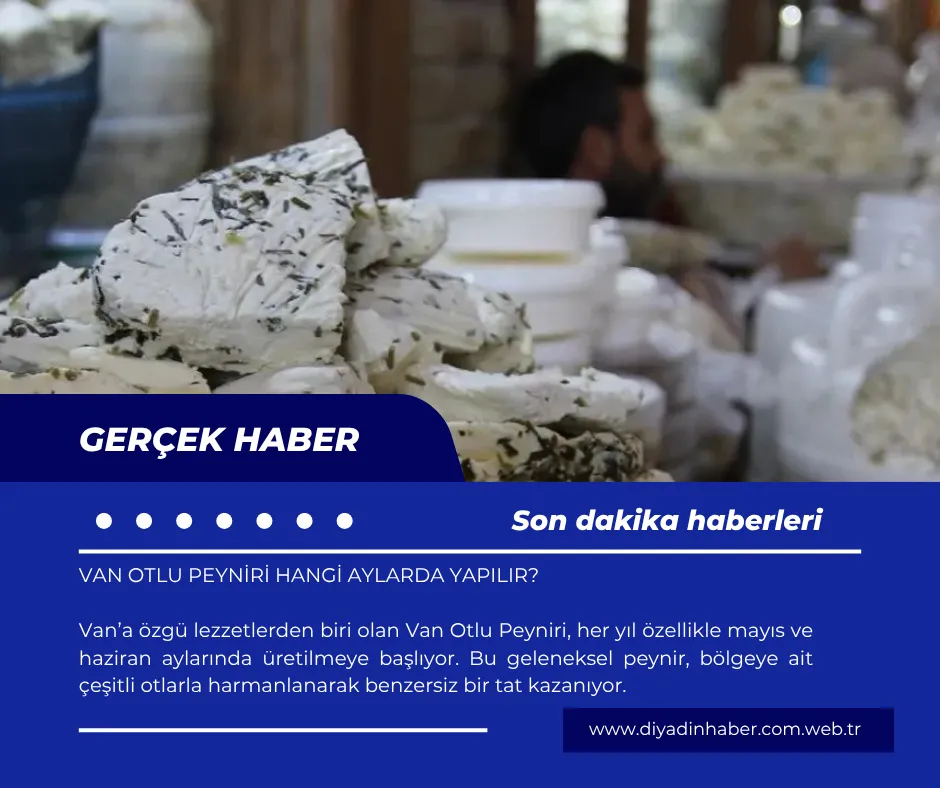 Van otlu peyniri hangi aylarda yapılır? 
