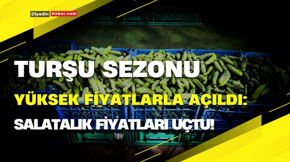 Turşu Sezonu Yüksek Fiyatlarla Açıldı: Salatalıkta Fiyatlar Uçtu!