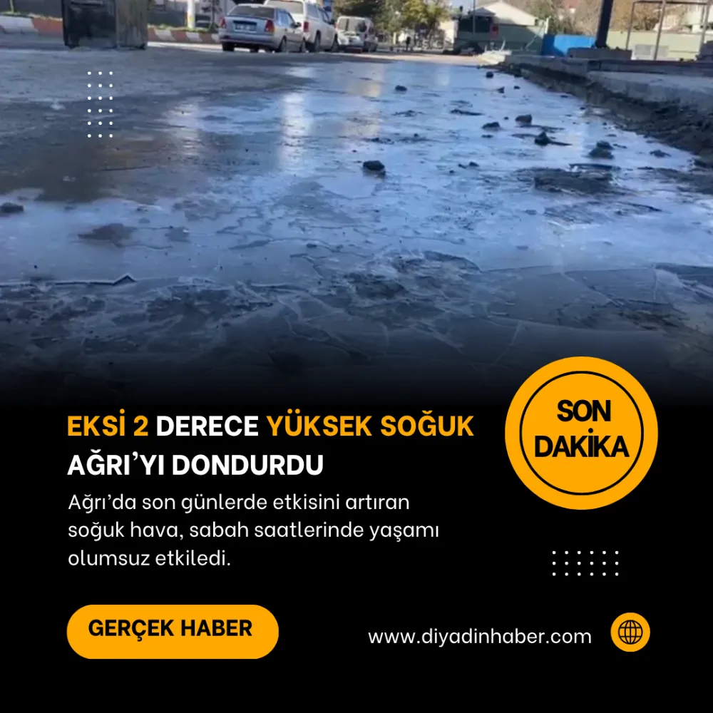 Eksi 2 Derece Soğuk Ağrı’yı Dondurdu.