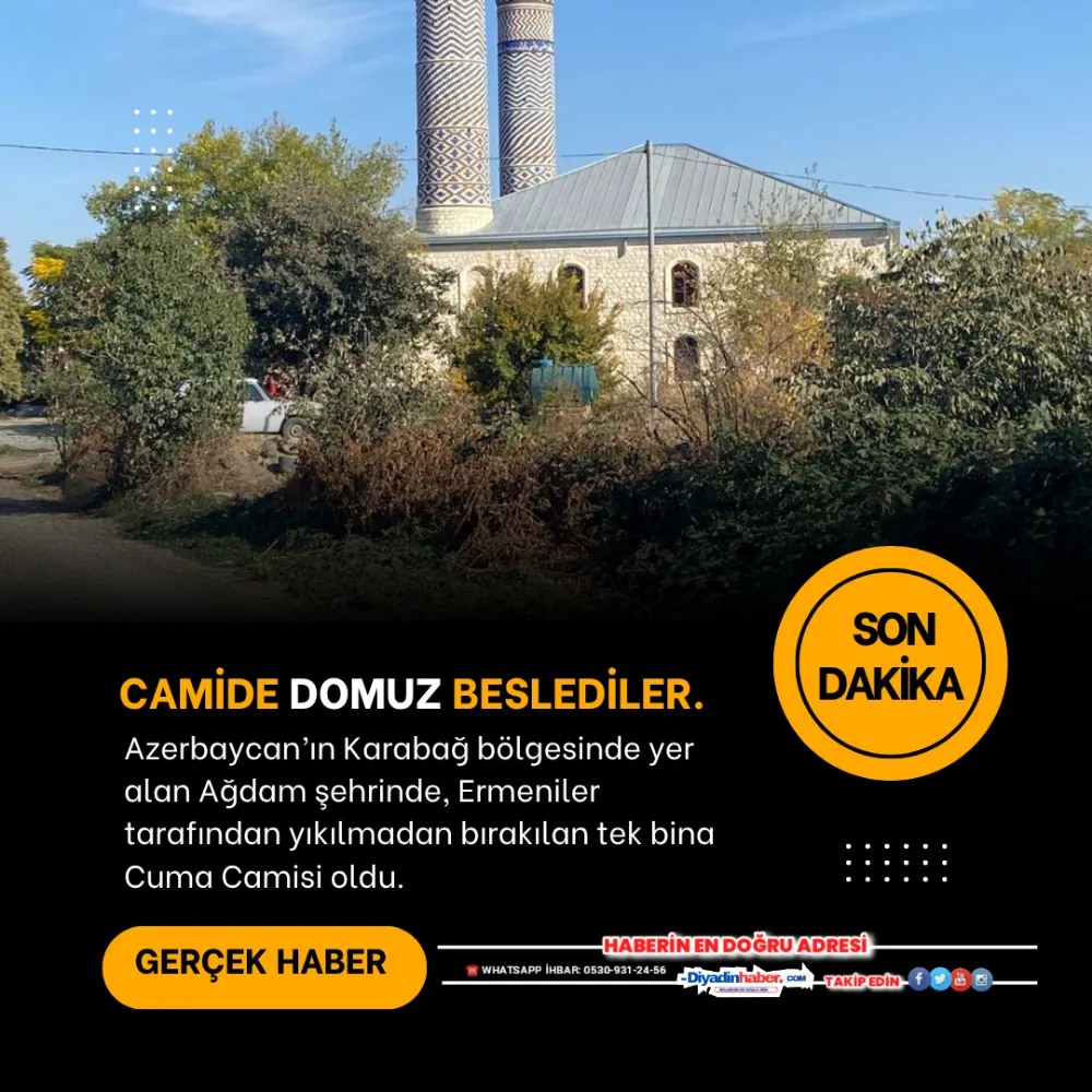 Camide Domuz Beslediler.