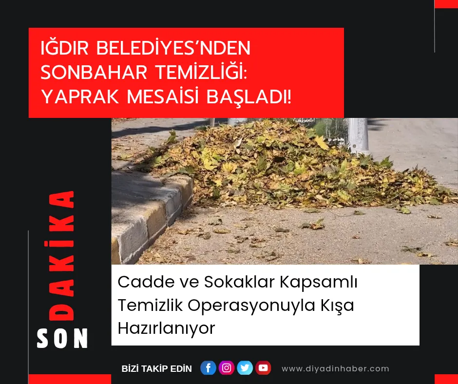 Iğdır Belediyesi’nden Sonbahar Temizliği: Yaprak Mesaisi Başladı!