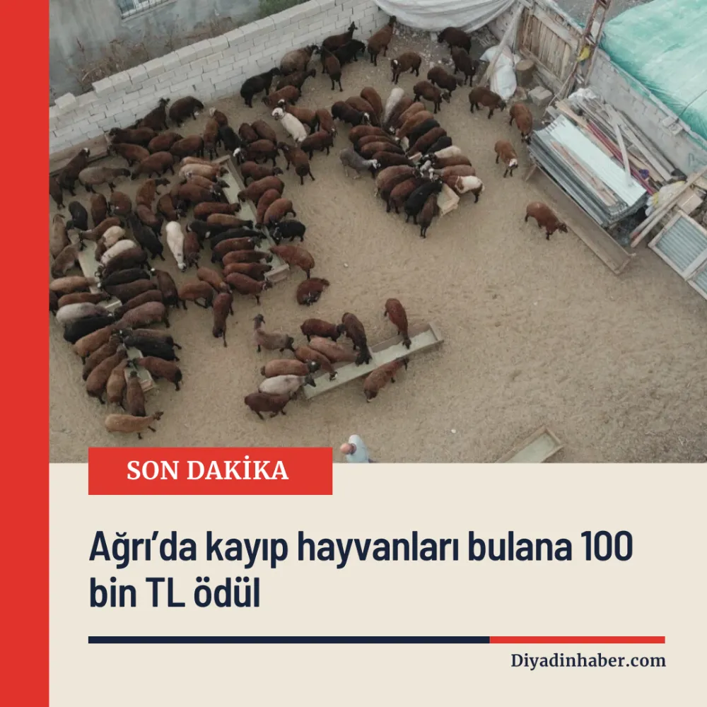 Ağrı’da kayıp hayvanları bulana 100 bin TL ödül.