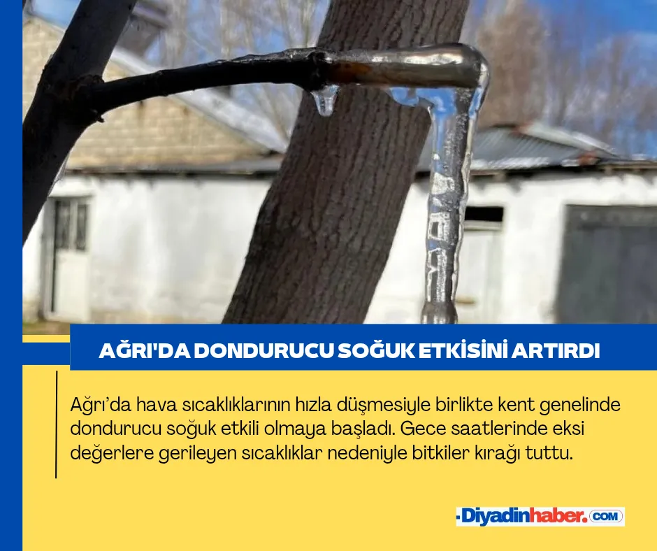 Ağrı’da Dondurucu Soğuk Etkisini Artırdı.
