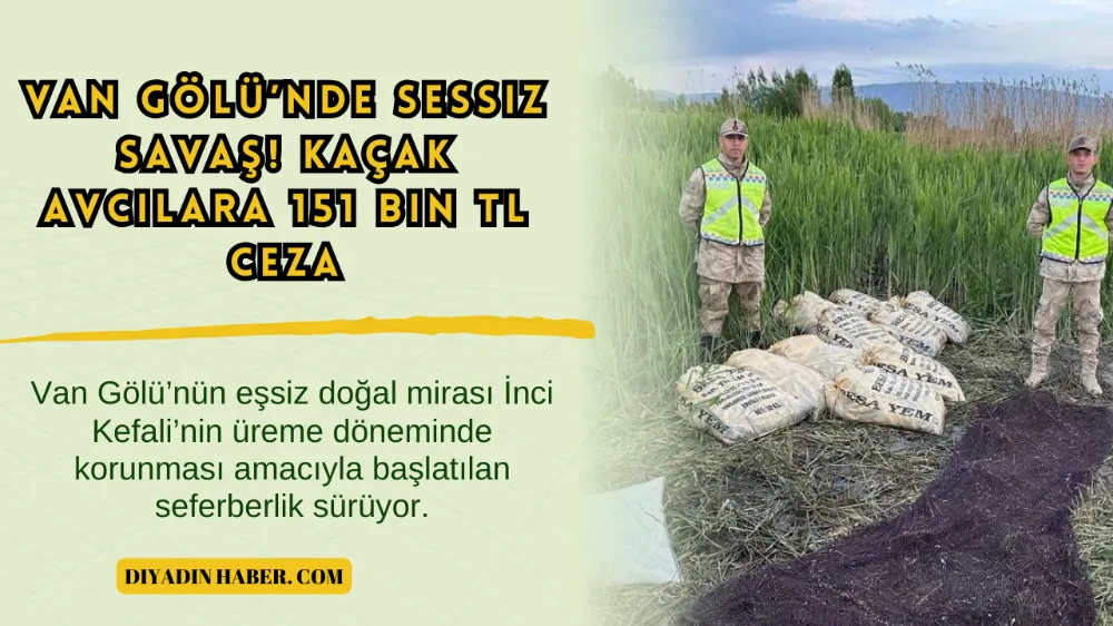 Van Gölü’nde sessiz savaş! Kaçak avcılara 151 bin TL ceza