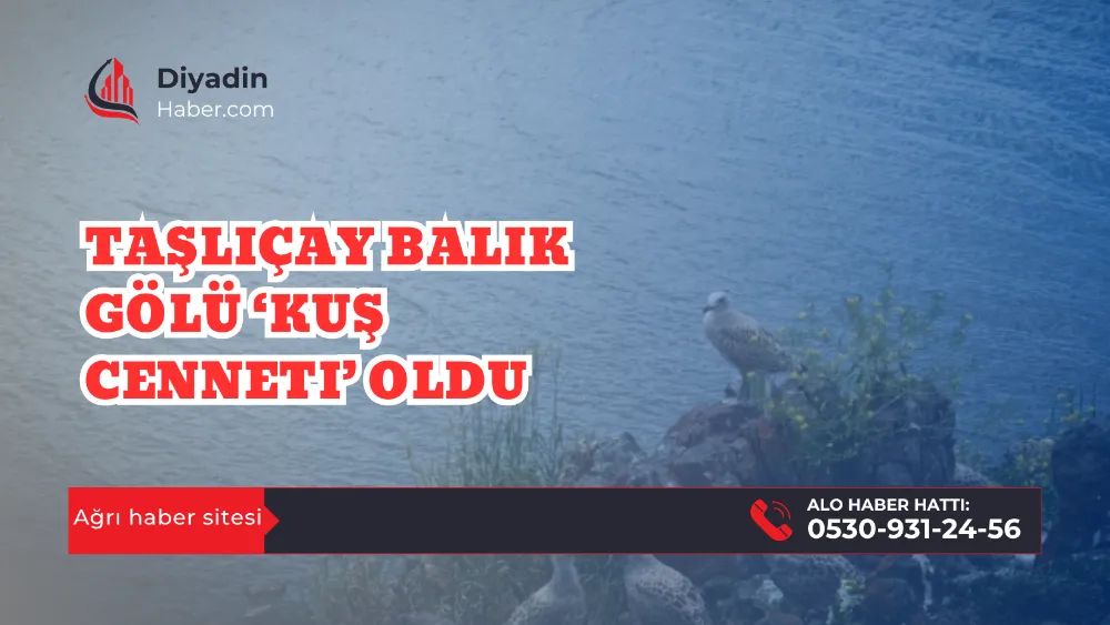 Taşlıçay Balık Gölü ‘Kuş Cenneti’ Oldu..