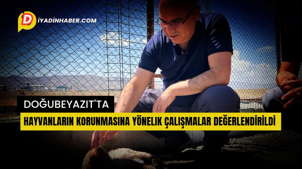 Doğubayazıt’ta Hayvanların Korunmasına Yönelik Çalışmalar Değerlendirildi.