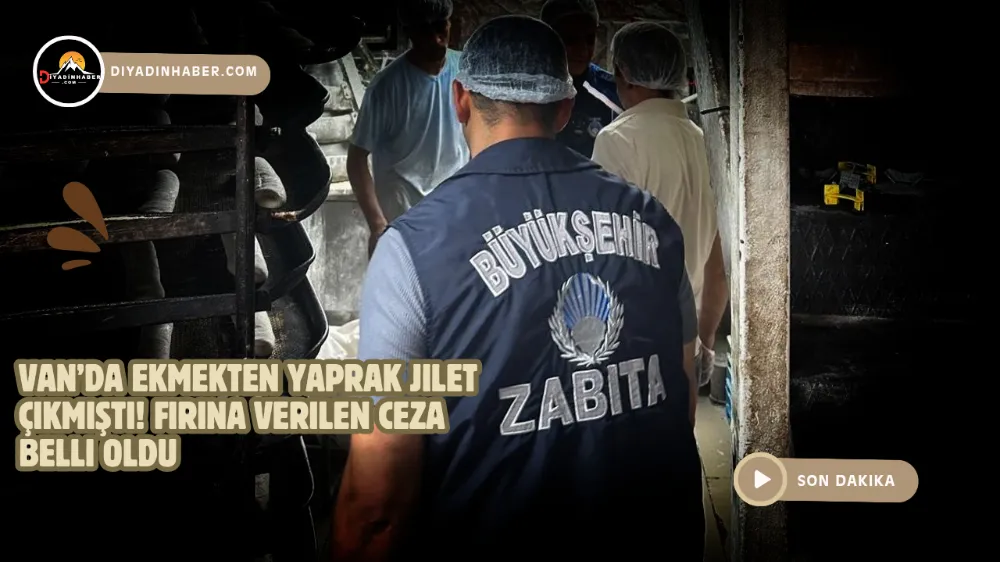 Van’da ekmekten yaprak jilet çıkmıştı! Fırına verilen ceza belli oldu.