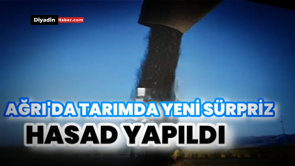 Ağrı Tarlalarında Sürpriz Hasat