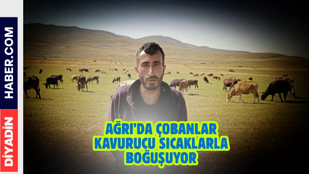 Ağrı’da çobanlar kavurucu sıcaklarla boğuşuyor.