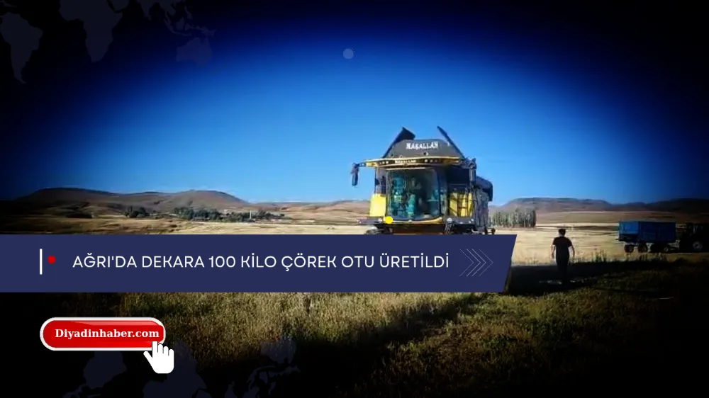 Ağrı’da dekara 100 kilo çörek otu üretildi.