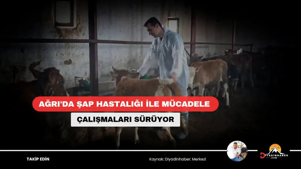 Ağrı’da şap hastalığı ile mücadele çalışmaları sürüyor.